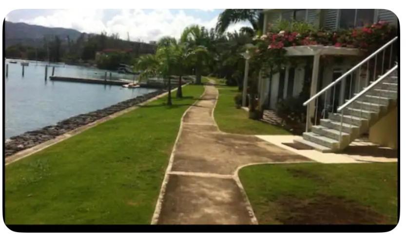 דירות Beryls At Seawind On The Bay , Montego Bay , Jamaica מראה חיצוני תמונה