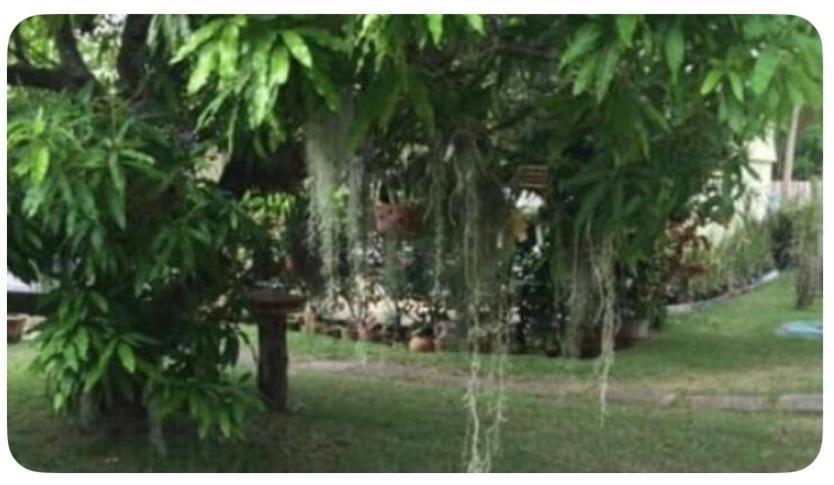 דירות Beryls At Seawind On The Bay , Montego Bay , Jamaica מראה חיצוני תמונה